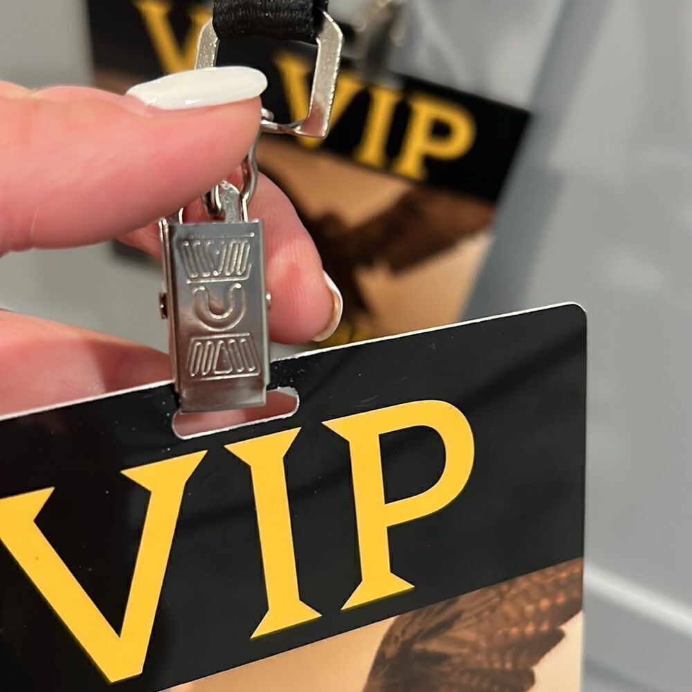 VIP Medieval Times pass and flags - Picture 5 of 6